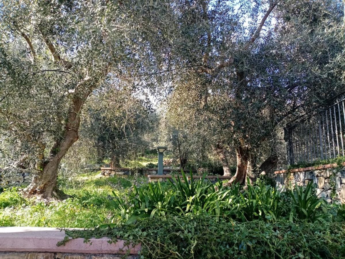 Apartmán Agrisport Ca Di Cuni Roncagli Exteriér fotografie