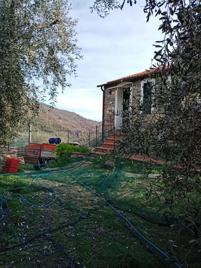Apartmán Agrisport Ca Di Cuni Roncagli Exteriér fotografie