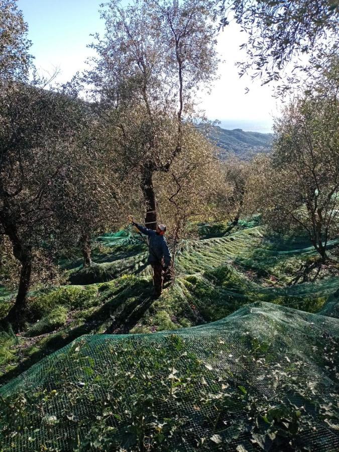 Apartmán Agrisport Ca Di Cuni Roncagli Exteriér fotografie